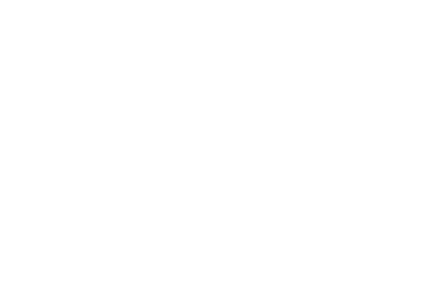 VANZ LOGO OK